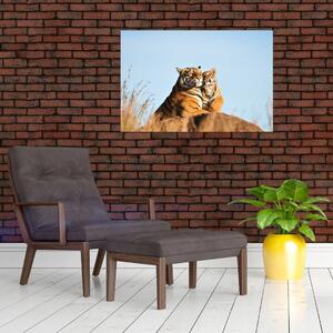Kép - Tigris és a kölyke (90x60 cm)