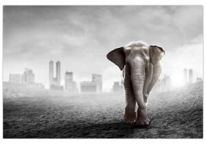 Kép -Elefánt egy nagyvárosban, fekete-fehér változat (90x60 cm)