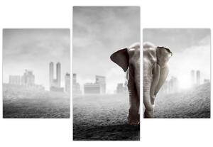 Kép -Elefánt egy nagyvárosban, fekete-fehér változat (90x60 cm)