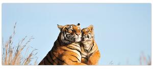 Kép - Tigris és a kölyke (120x50 cm)
