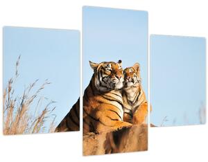 Kép - Tigris és a kölyke (90x60 cm)