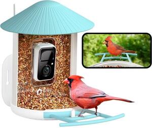 Birdfy intelligens madáretető (AI előfizetés)