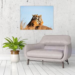 Kép - Tigris és a kölyke (70x50 cm)