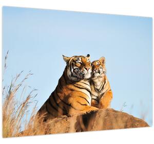Kép - Tigris és a kölyke (70x50 cm)