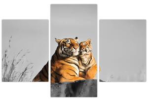 Kép - Tigris és a kölyke, fekete-fehér változat (90x60 cm)