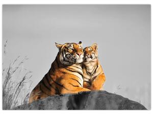 Kép - Tigris és a kölyke, fekete-fehér változat (70x50 cm)