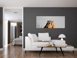 Kép - Tigris és a kölyke, fekete-fehér változat (120x50 cm)