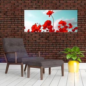 Fényes piros virágokkal rendelkező mező képe (120x50 cm)