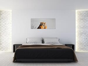 Kép - Tigris és a kölyke, fekete-fehér változat (120x50 cm)