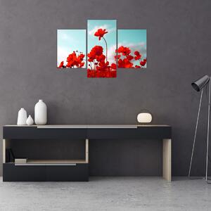 Fényes piros virágokkal rendelkező mező képe (90x60 cm)