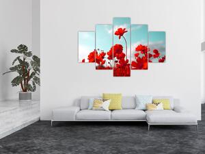 Fényes piros virágokkal rendelkező mező képe (150x105 cm)