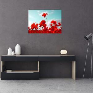 Fényes piros virágokkal rendelkező mező képe (70x50 cm)