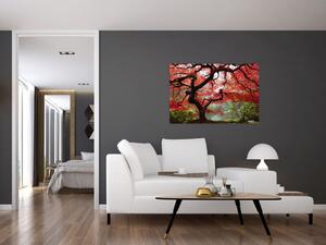 Red Japanese Maple, Portland, Oregon képe (90x60 cm)