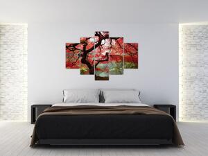Red Japanese Maple, Portland, Oregon képe (150x105 cm)
