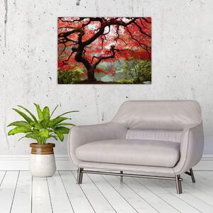 Red Japanese Maple, Portland, Oregon képe (üvegen) (70x50 cm)