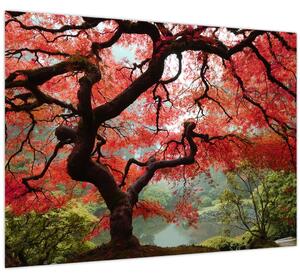 Red Japanese Maple, Portland, Oregon képe (70x50 cm)