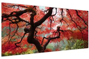 Red Japanese Maple, Portland, Oregon képe (120x50 cm)