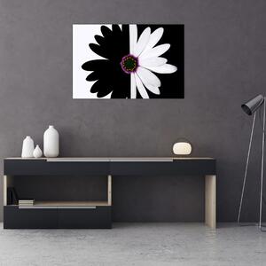 Egy fekete-fehér virág képe (90x60 cm)