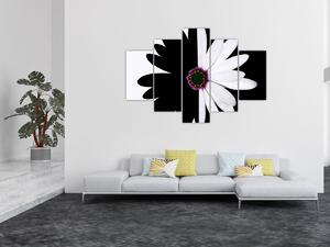Egy fekete-fehér virág képe (150x105 cm)