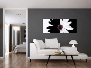 Egy fekete-fehér virág képe (120x50 cm)