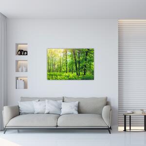 Kép - Tavaszi lomberdő (90x60 cm)