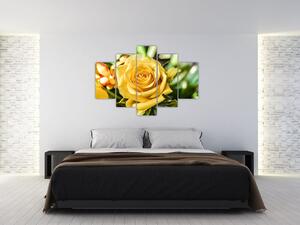 Rózsa képe (150x105 cm)