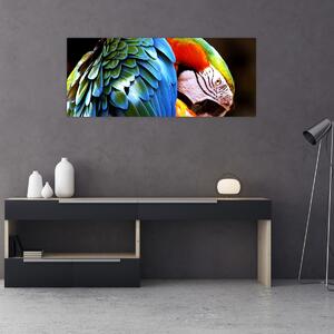 Kép - Papagáj (120x50 cm)