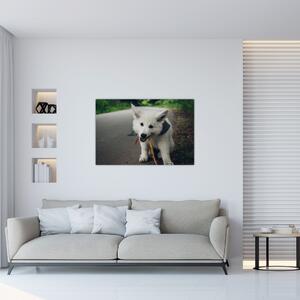 Egy fehér kutya képe (90x60 cm)