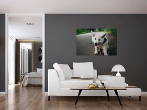 Egy fehér kutya képe (90x60 cm)