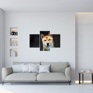 Kutya képe (90x60 cm)