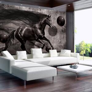 Fotótapéta - Fekete ló (152,5x104 cm)