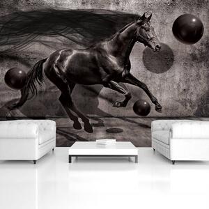 Fotótapéta - Fekete ló (152,5x104 cm)