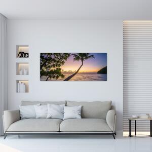 Kép a pálmafa a tengerparton (120x50 cm)