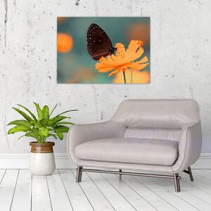 Kép - pillangó narancssárga virágon (70x50 cm)
