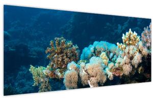 Kép - Az óceánban (120x50 cm)