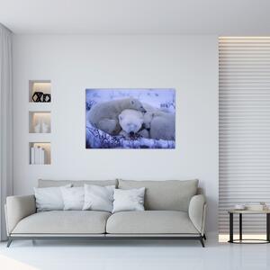 Kép - Jeges medve (90x60 cm)