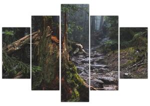 Kép - Az erdőben (150x105 cm)