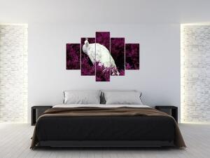 Kép - Fehér páva (150x105 cm)