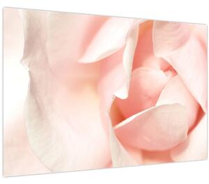 Kép - Rózsák (90x60 cm)