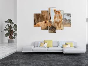 Kép - két oroszlán (150x105 cm)