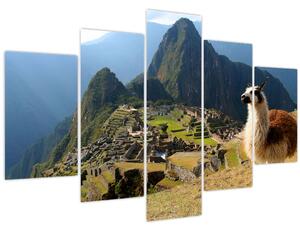 Kép - Láma és Machu Picchu (150x105 cm)