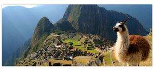 Kép - Láma és Machu Picchu (120x50 cm)