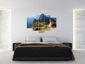 Kép - Láma és Machu Picchu (150x105 cm)