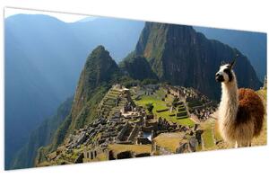 Kép - Láma és Machu Picchu (120x50 cm)