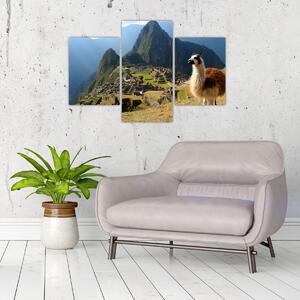 Kép - Láma és Machu Picchu (90x60 cm)