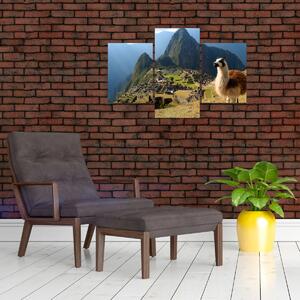 Kép - Láma és Machu Picchu (90x60 cm)