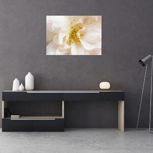 Kép - Virág (70x50 cm)