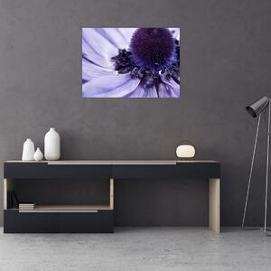 Kép - Ibolya virág (70x50 cm)