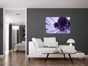 Kép - Ibolya virág (90x60 cm)