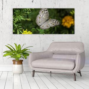Kép - fehér pillangó (120x50 cm)